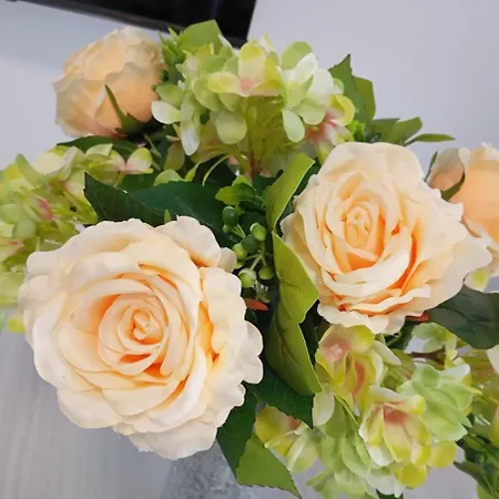 Lejlighed L'aurora *